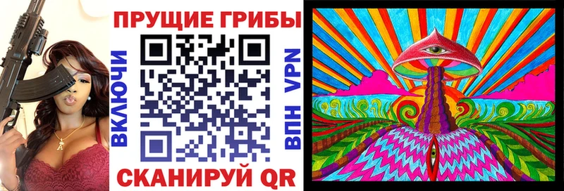 darknet Telegram  Снежногорск  Псилоцибиновые грибы GOLDEN TEACHER 